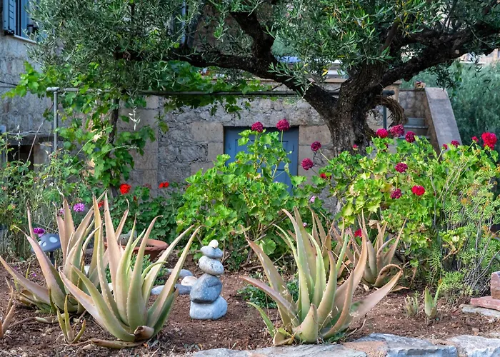 Anatoli * Кардамили