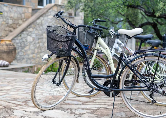 Nyaraló Anatoli Kardamíli